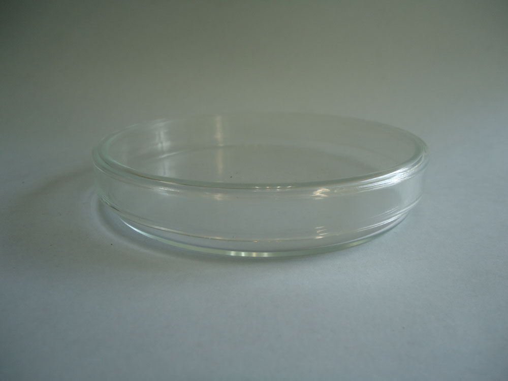 Caja Petri vidrio 15 cms.
